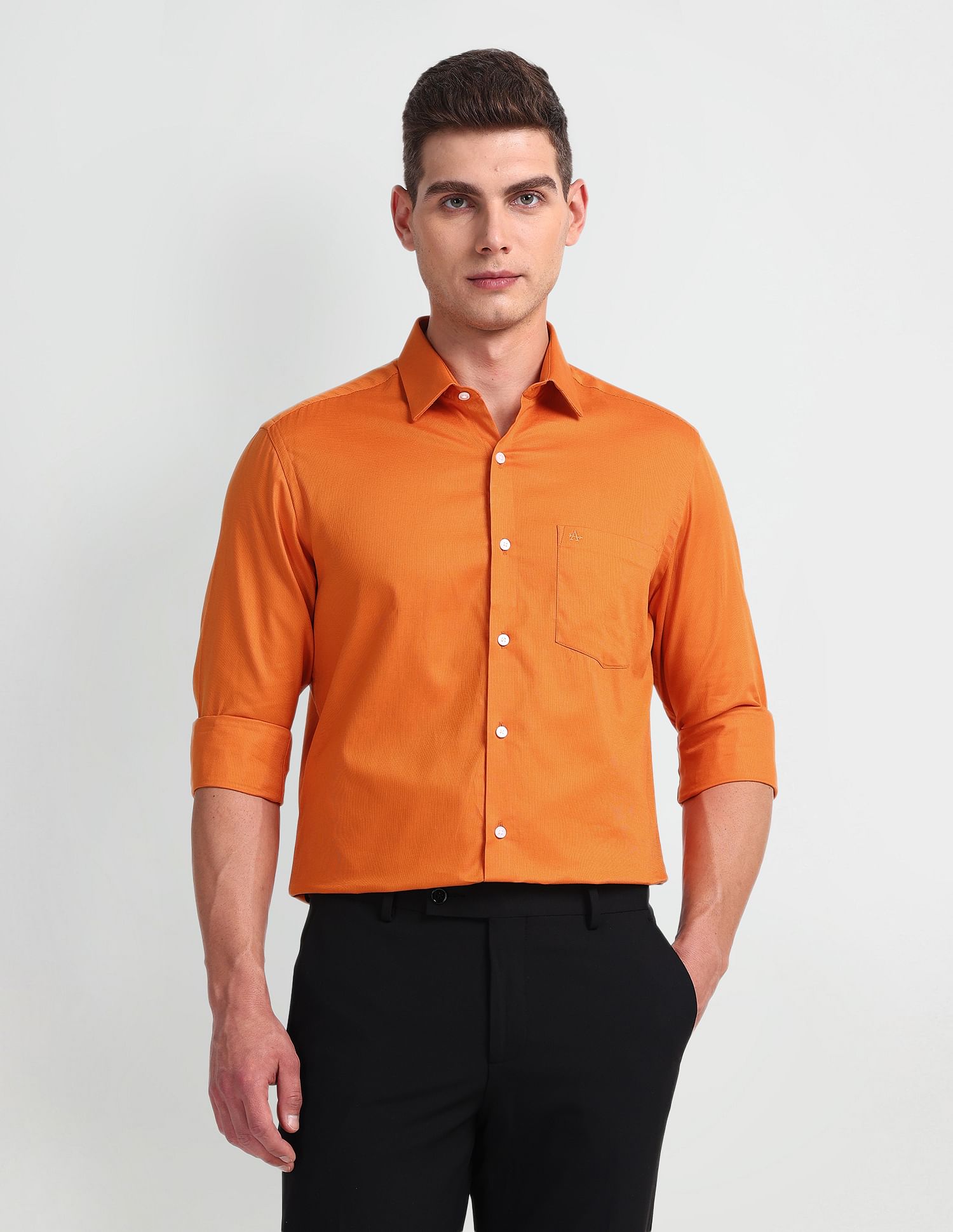 Arrow Solid Long Sleeve Dobby Shirt