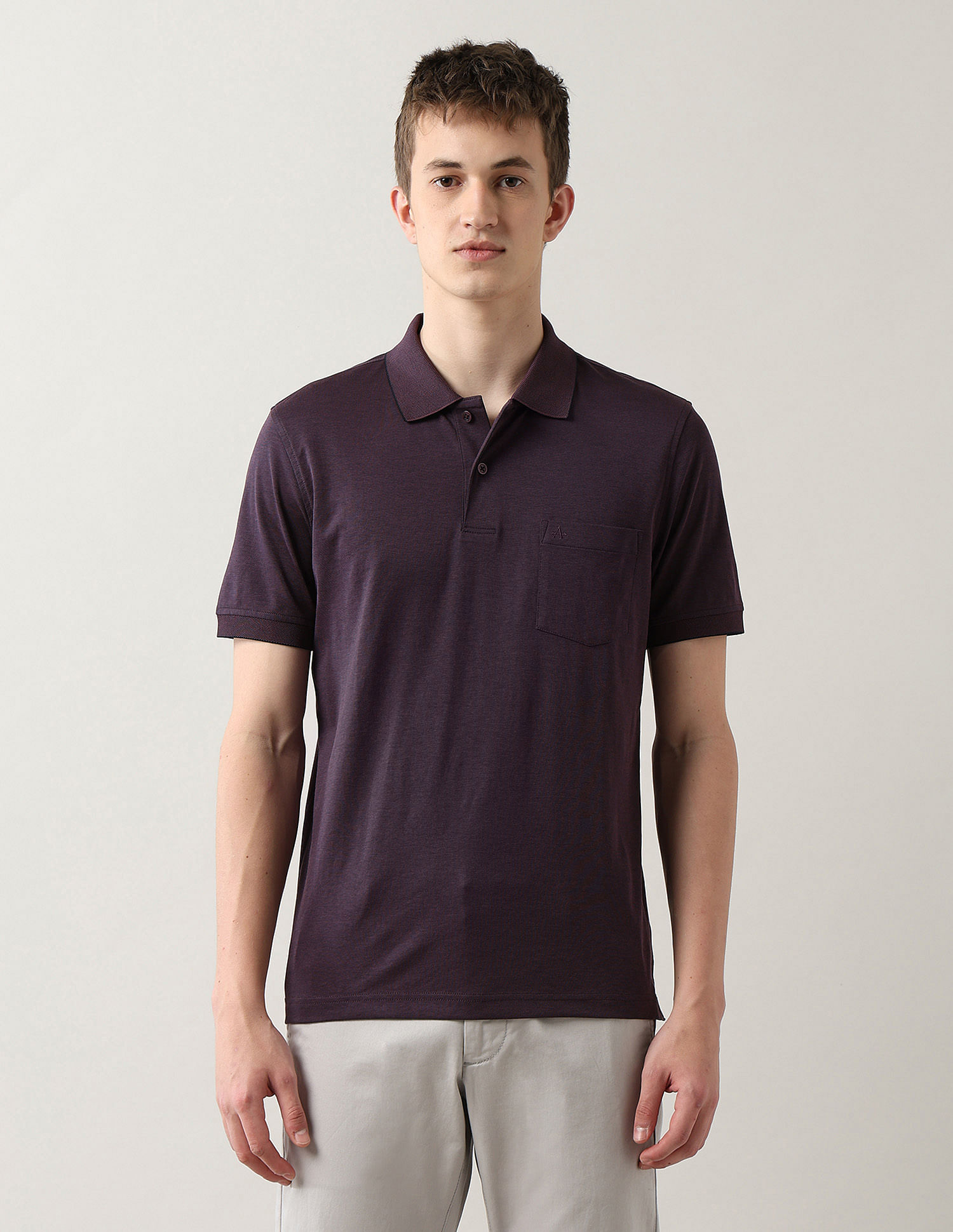 Arrow Textured Regular Fit Polo Shirt