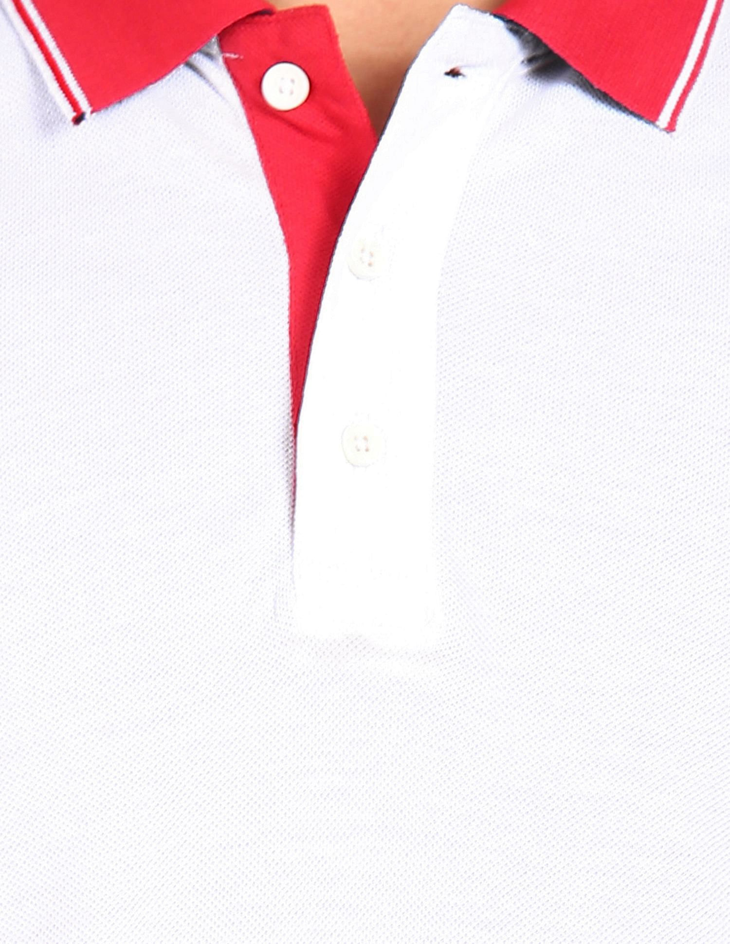 AD by Arvind Cotton Colour Block Polo Shirt