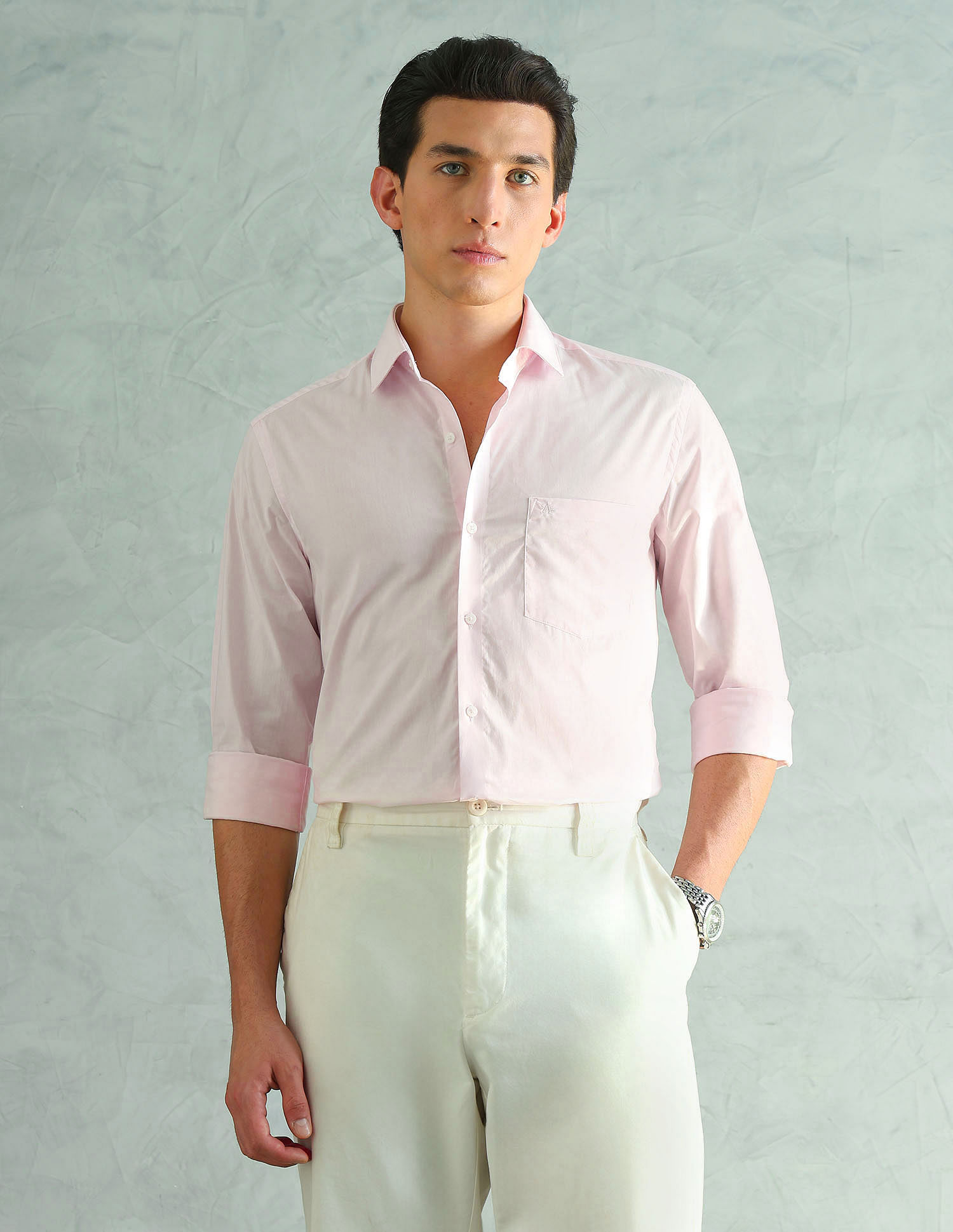 Arrow Slim Fit Smart Formal Shirt