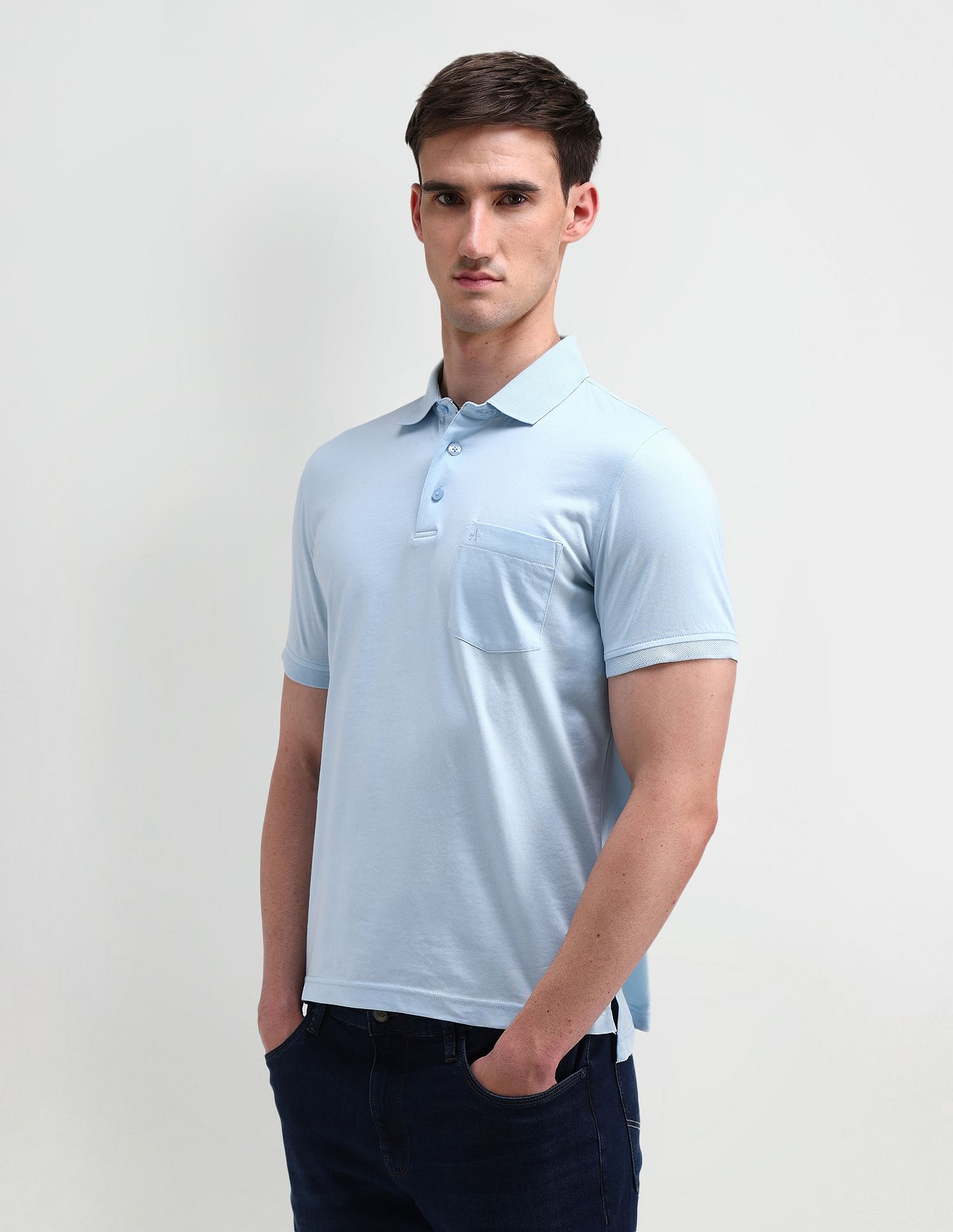 Arrow Regular Solid Polo Shirt