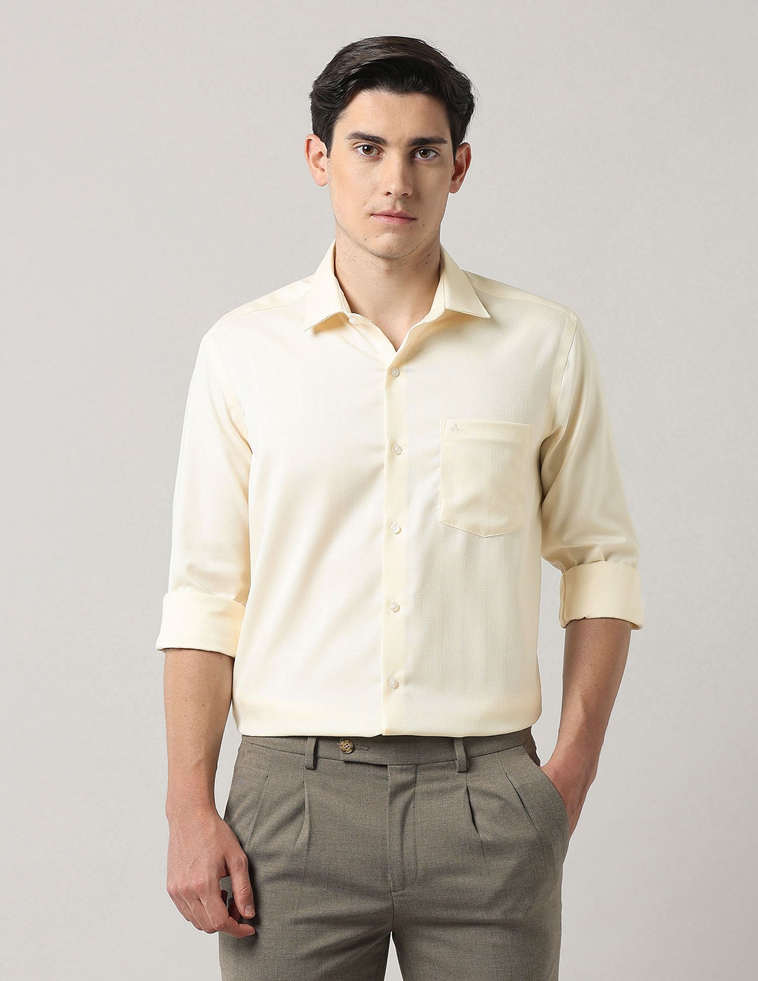 Arrow Textured Manhattan Slim Fit Autopress Shirt