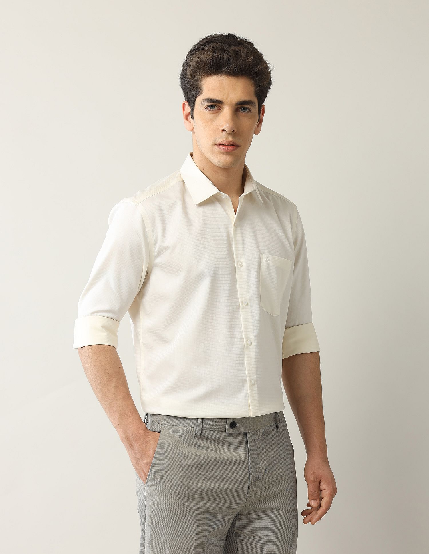 Arrow Micro Checked Autopress Shirt