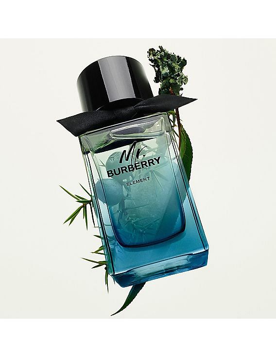 Buy BURBERRY Mr. Burberry Element Eau De Toilette NNNOW