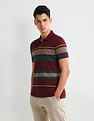 Arrow Sport Dynamax Horizontal Striped Regular Polo Shirt