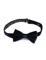 Arrow Men Pre Tied Velvet Bow Tie