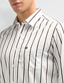 Arrow Sport Vertical Striped Cotton Shirt