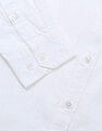 Arrow Sport Solid Pure Cotton Tailored Fit Shirt