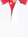 AD by Arvind Cotton Colour Block Polo Shirt