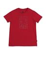 U.S. Polo Assn. Kids Boys Pure Cotton Regular T-shirt
