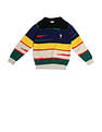 U.S. Polo Assn. Kids Boys Cotton Regular Fit Sweater
