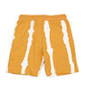 U.S. Polo Assn. Kids Boys Pure Cotton Dyed Shorts