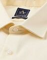 Arrow Textured Manhattan Slim Fit Autopress Shirt