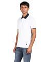 AD by Arvind Cotton Solid Polo Shirt