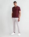 Arrow Sport Striped Collar Solid Polo Shirt