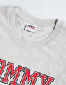Tommy Hilfiger Transitional Organic Cotton Essential T-Shirt